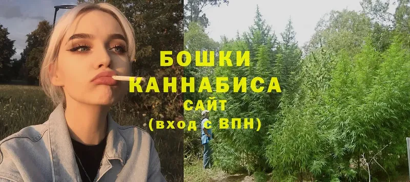 Шишки марихуана Ganja  продажа наркотиков  Инза 